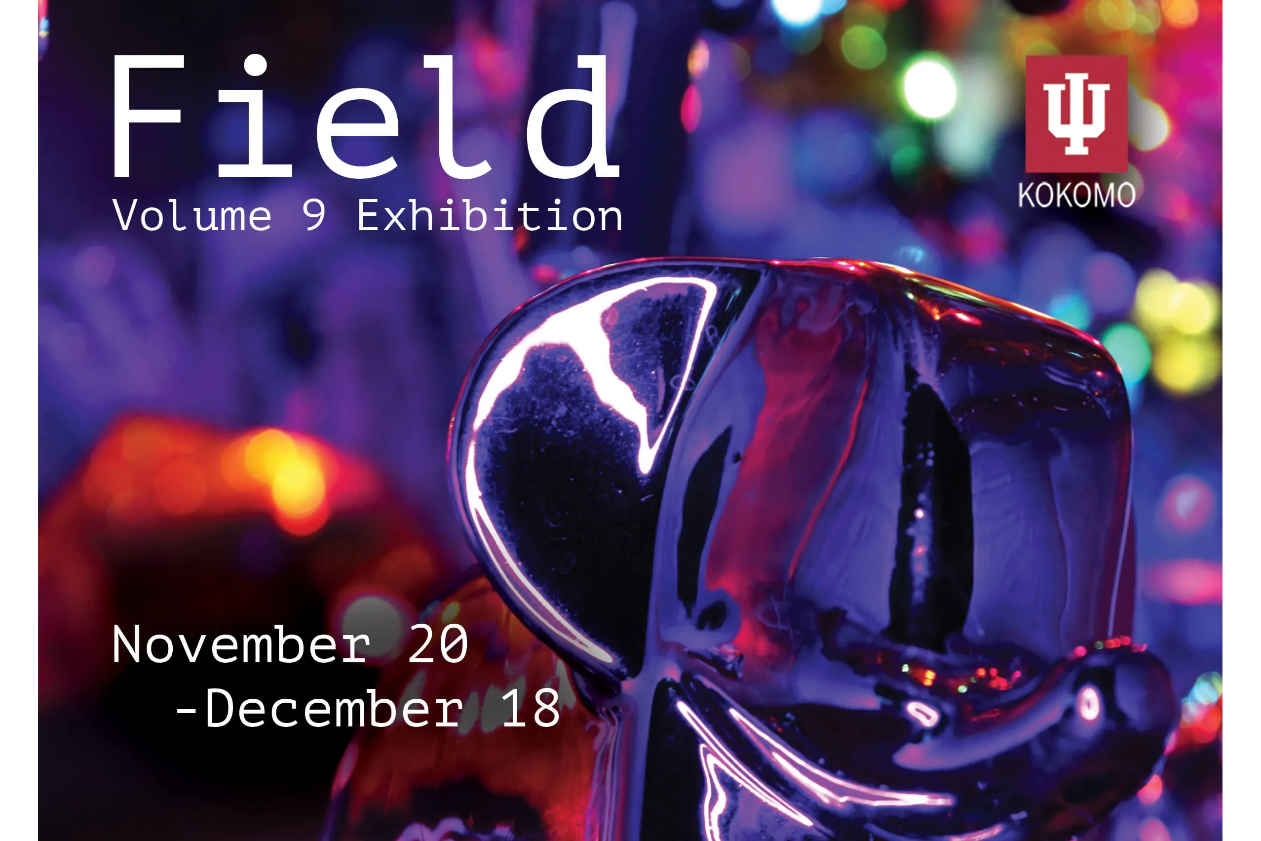 Field exhibition 11/20/2024 - 12/18/2024.